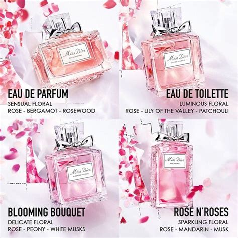 miss dior blooming bouquet vs marc hacobs|miss dior rose scent.